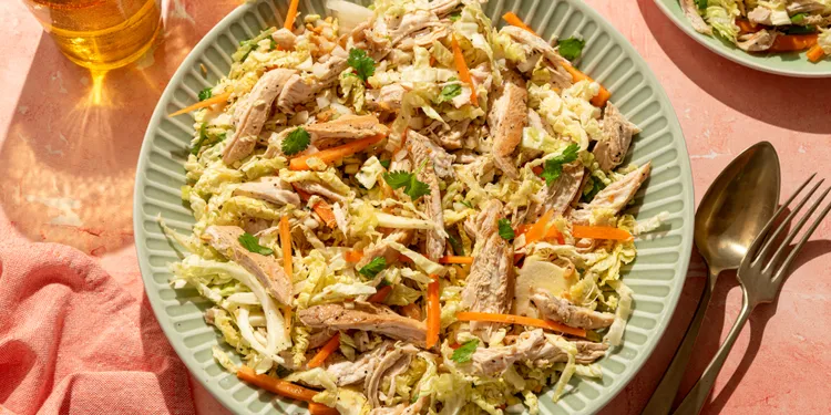 Shredded Chicken Recipes