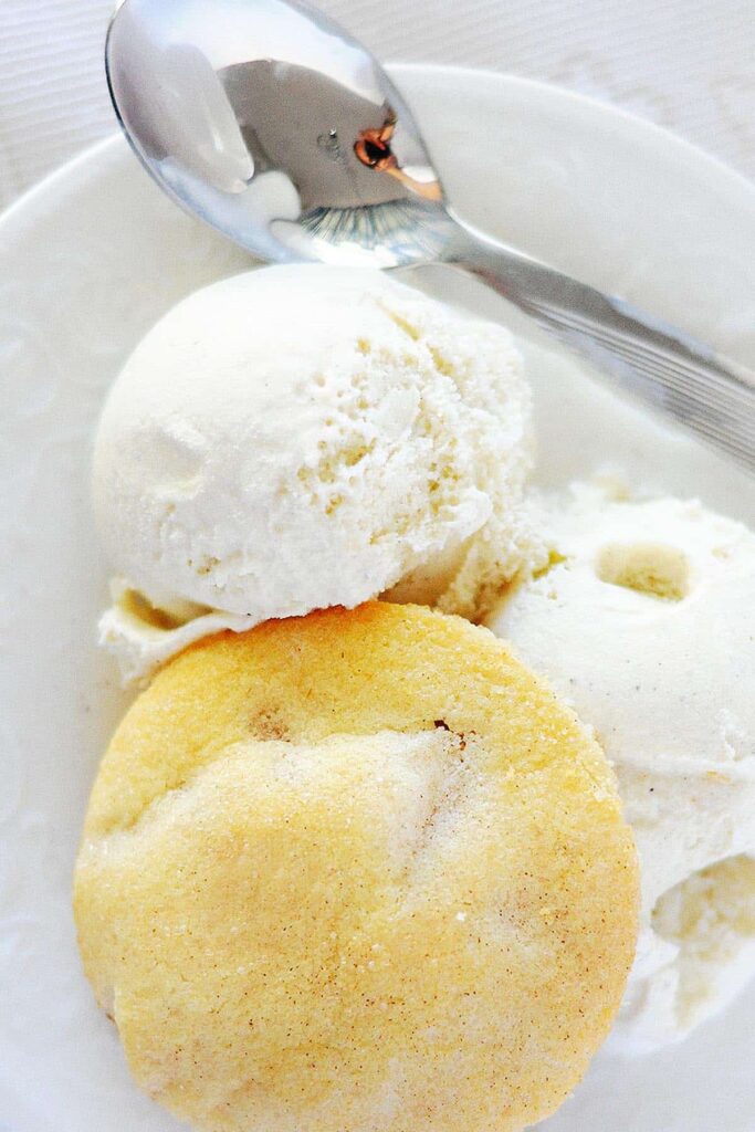 Cuisinart Ice Cream Maker Recipes